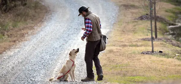 Man and dog on road